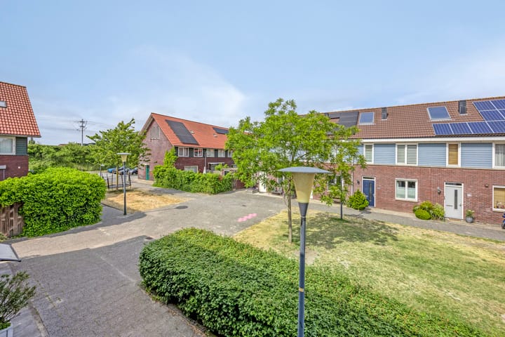 Foto 37 van Shetland 25