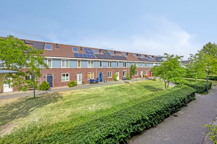 Foto 38 van Shetland 25