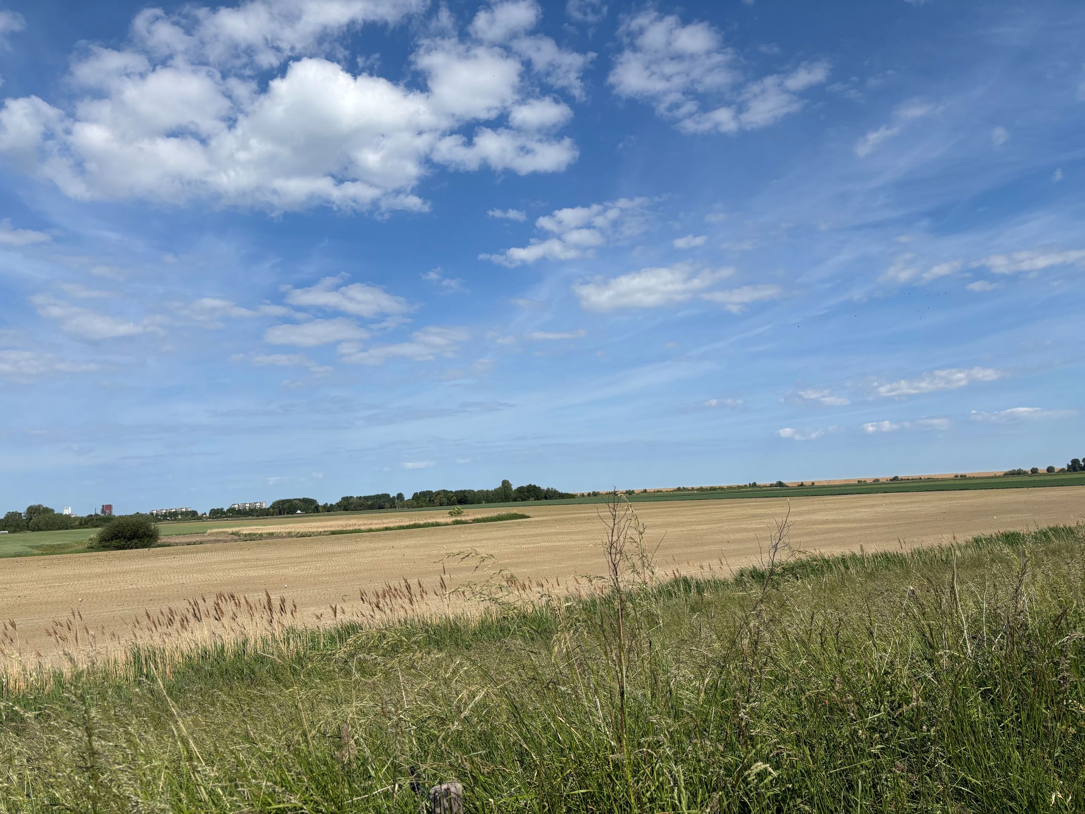 Foto 54 van Reuzenhoek 40