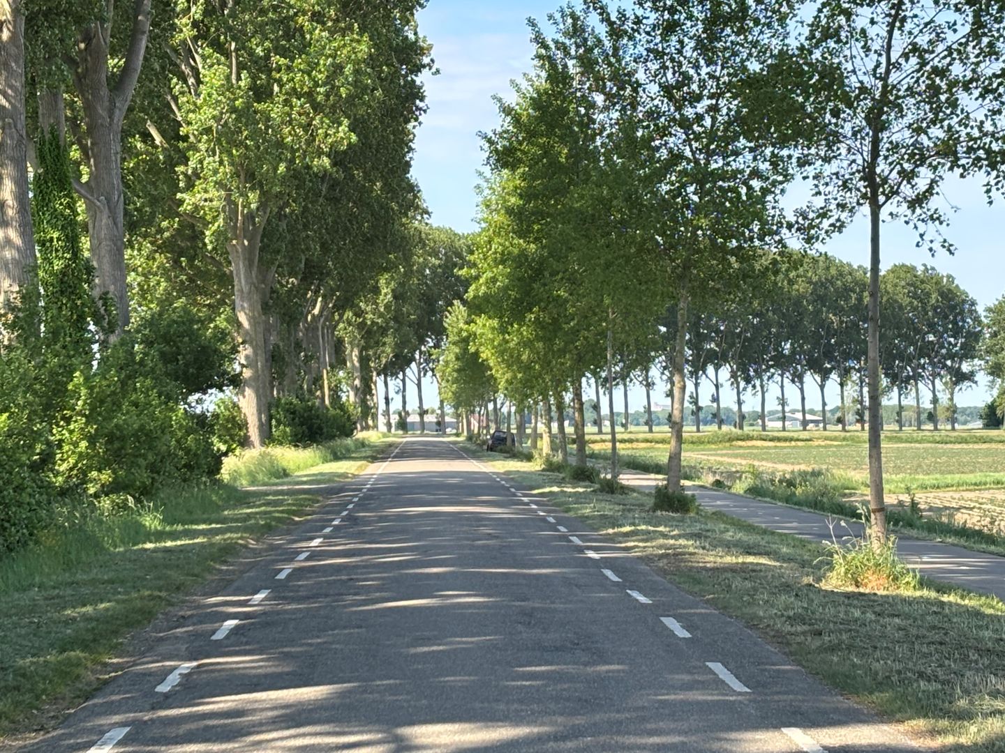 Foto 55 van Reuzenhoek 40