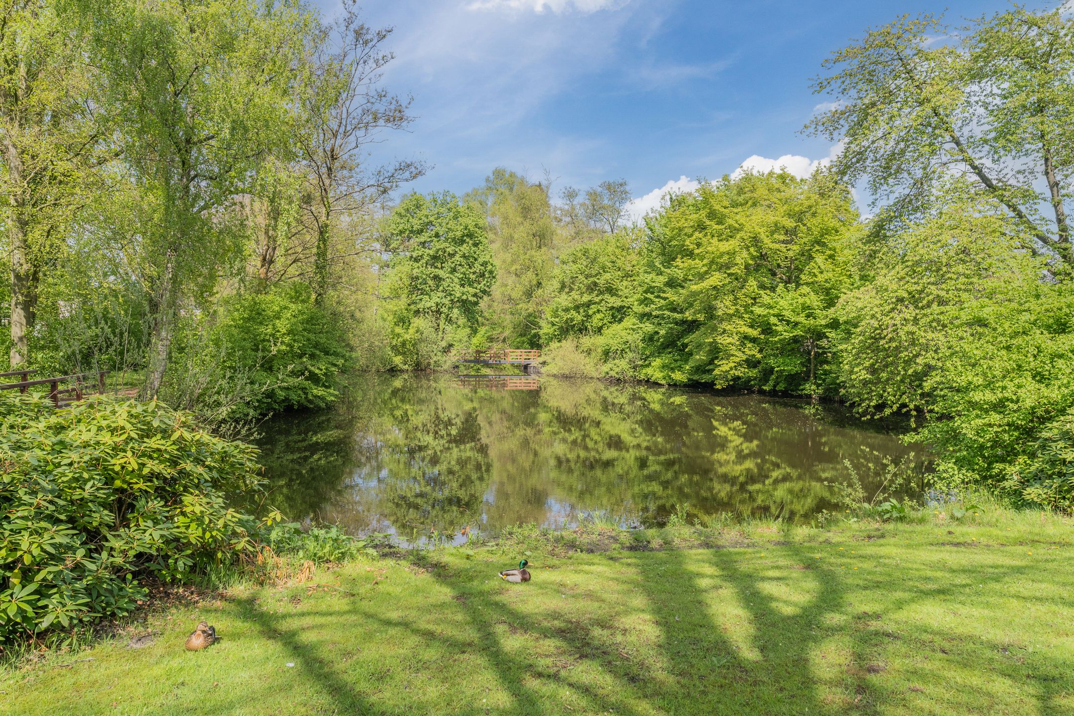 Foto 48 van Hakhorst 16