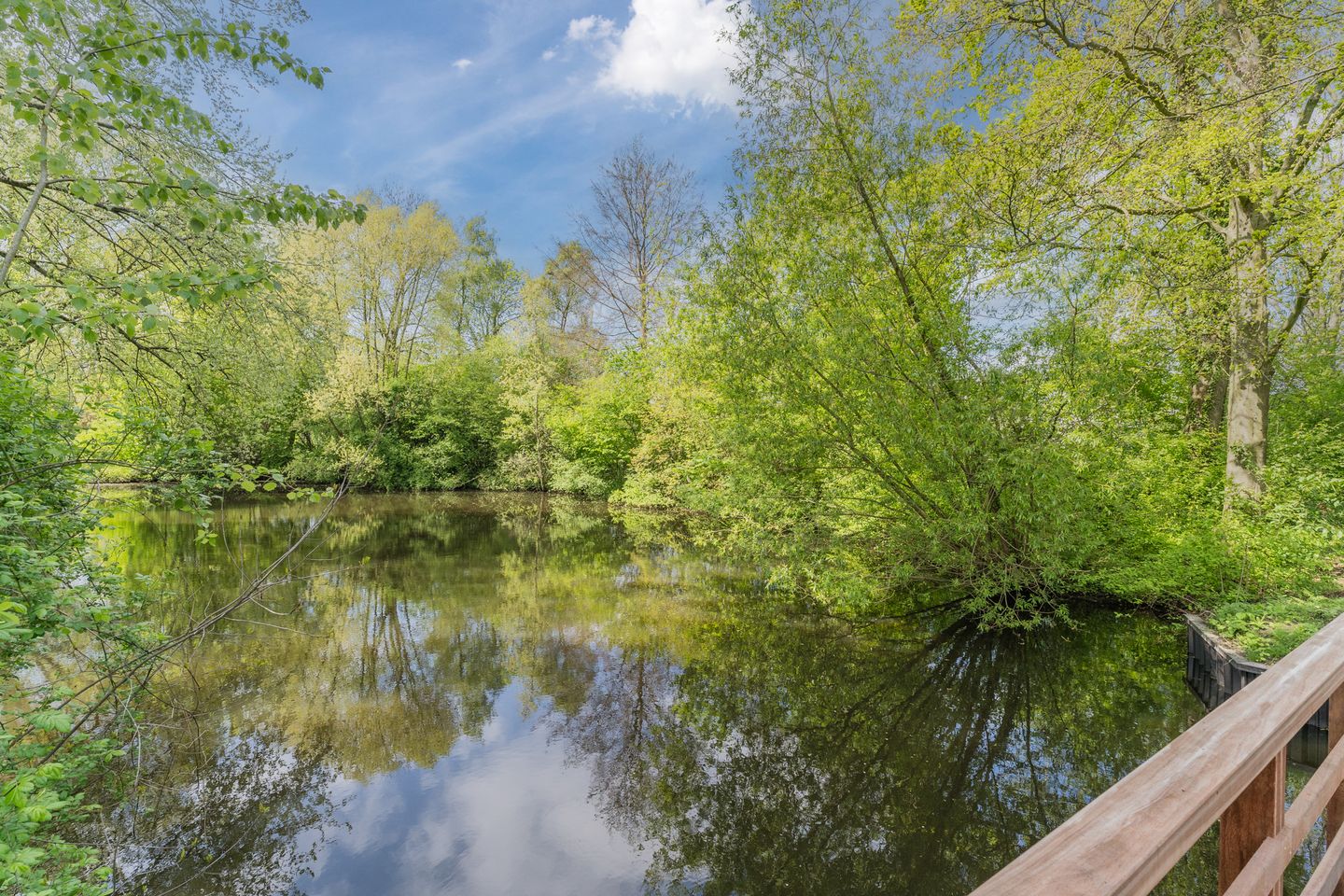 Foto 50 van Hakhorst 16