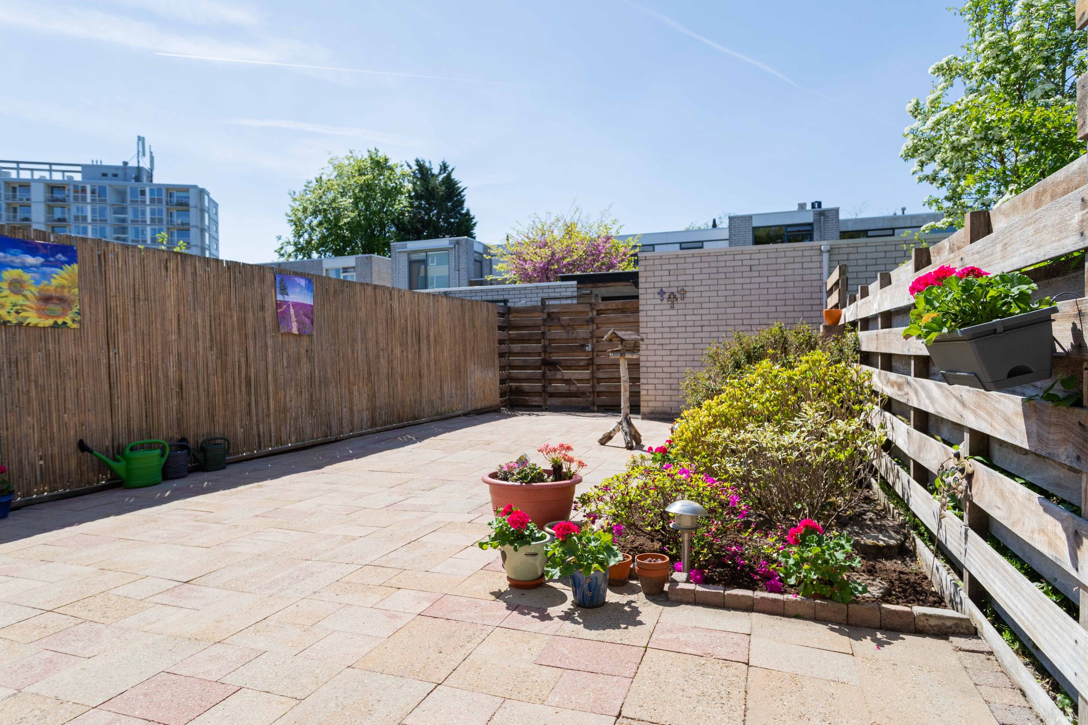 Photo 18 of Rietveldpad 3