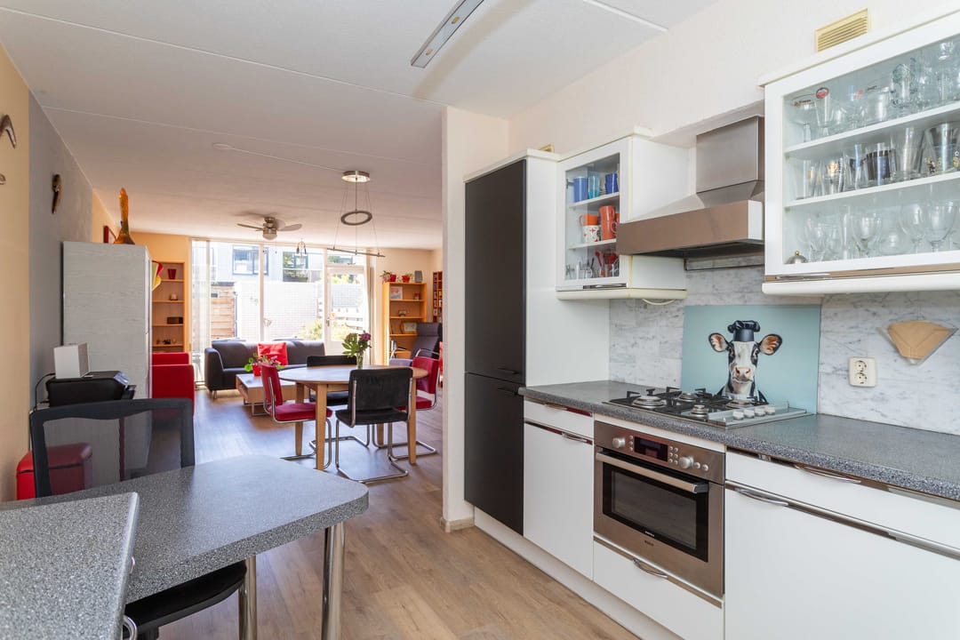 Photo 28 of Rietveldpad 3