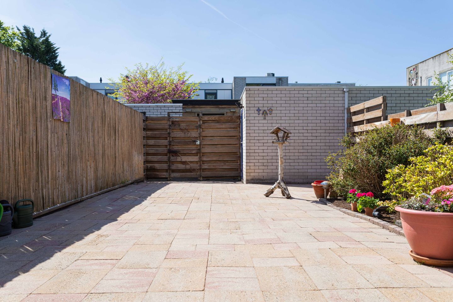 Photo 19 of Rietveldpad 3