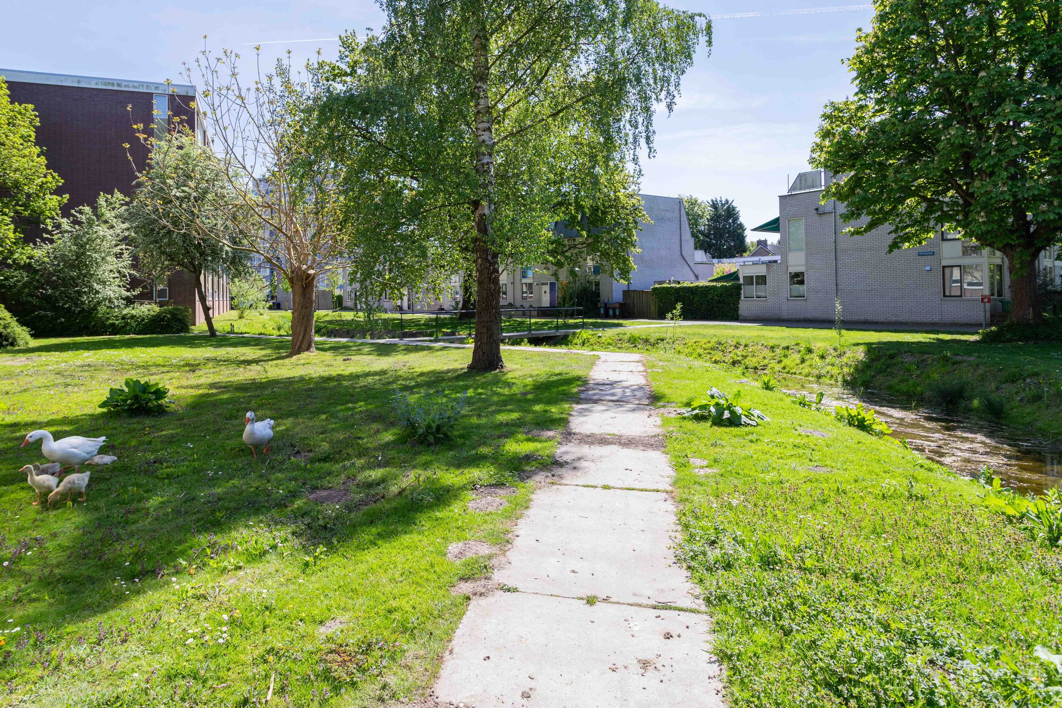 Photo 48 of Rietveldpad 3