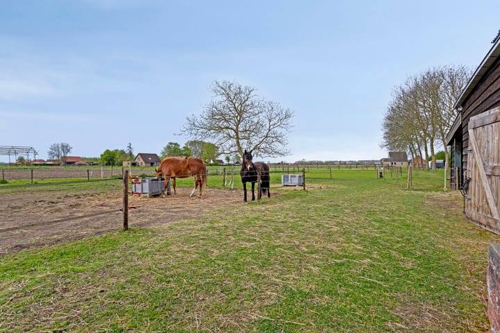 Photo 35 of Nieuwlandseweg 3