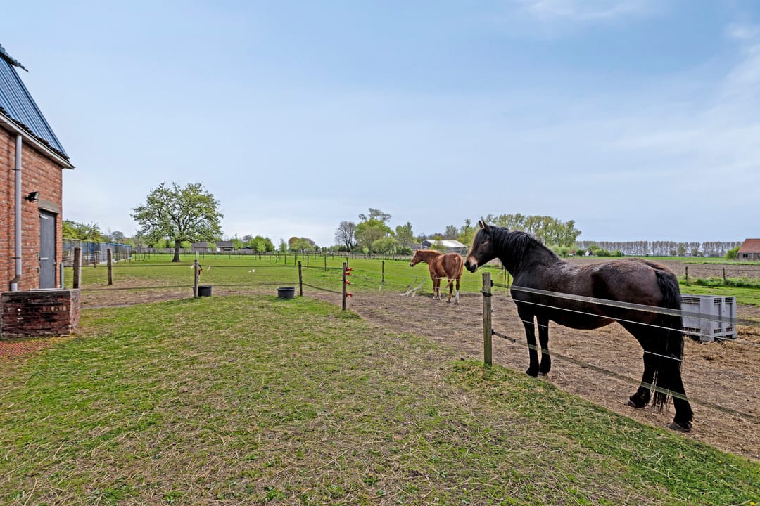 Photo 38 of Nieuwlandseweg 3