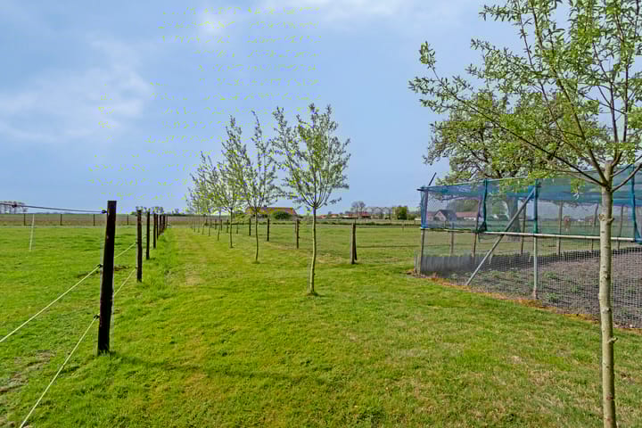 Photo 40 of Nieuwlandseweg 3