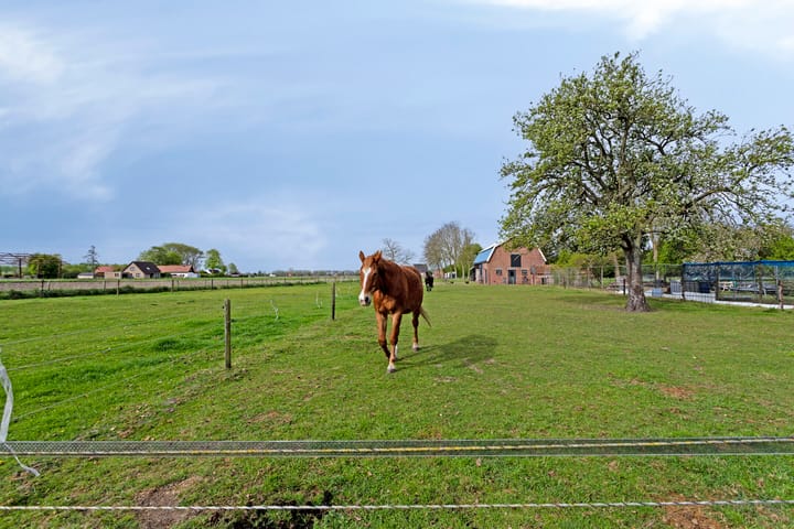 Photo 41 of Nieuwlandseweg 3