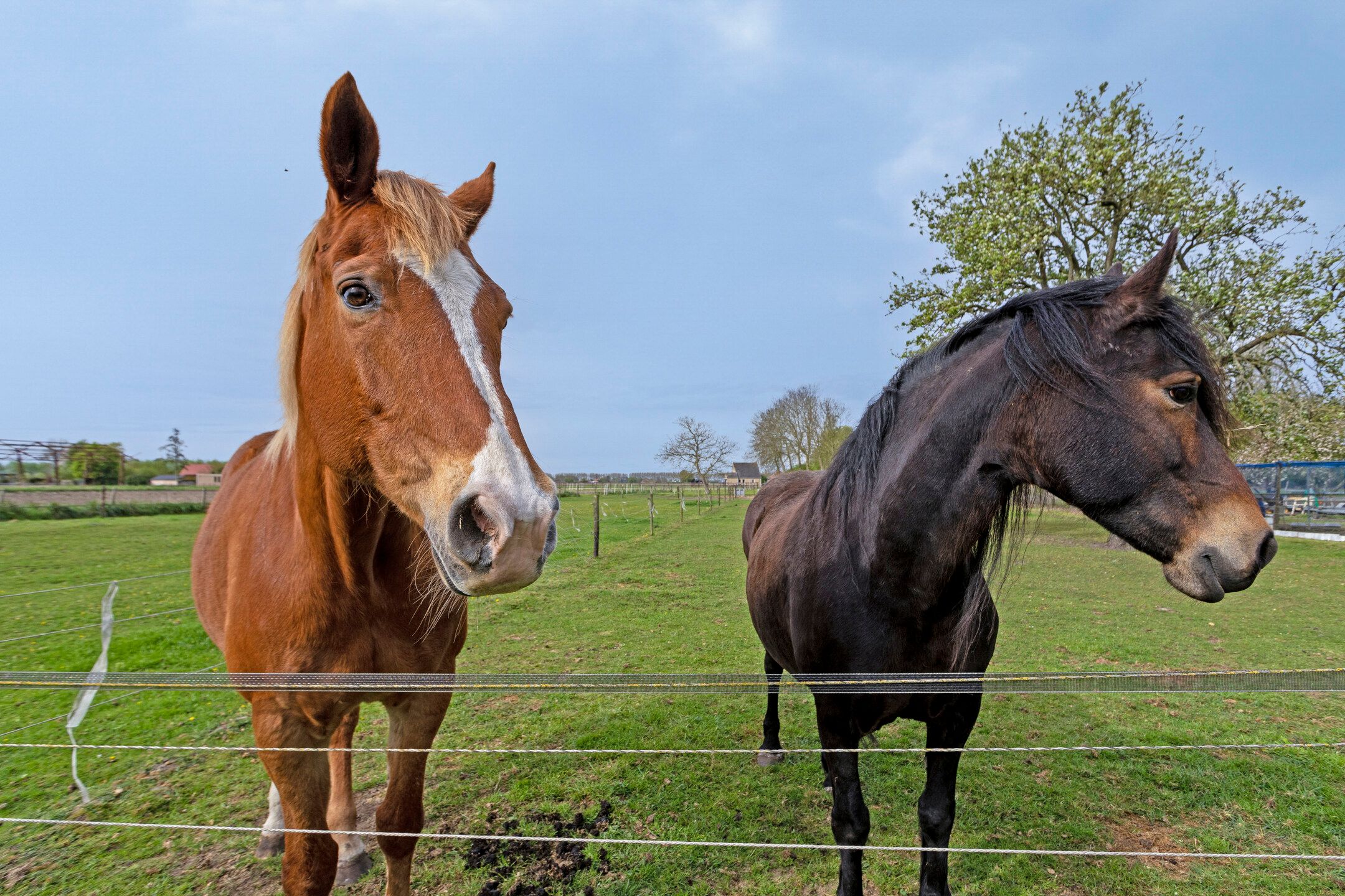 Photo 42 of Nieuwlandseweg 3