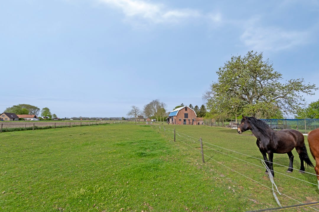 Photo 43 of Nieuwlandseweg 3