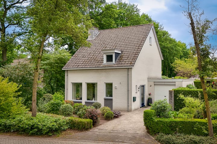 Foto 47 van Heidonk 26