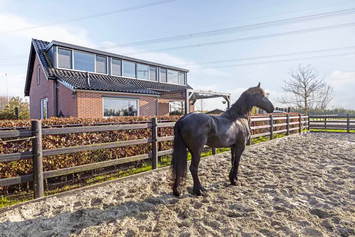 Foto 60 van Bloemendaalse Zeedijk 55-A