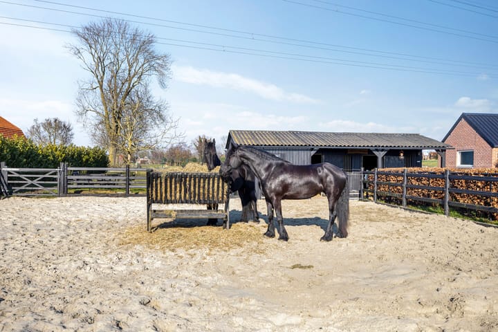 Foto 61 van Bloemendaalse Zeedijk 55-A