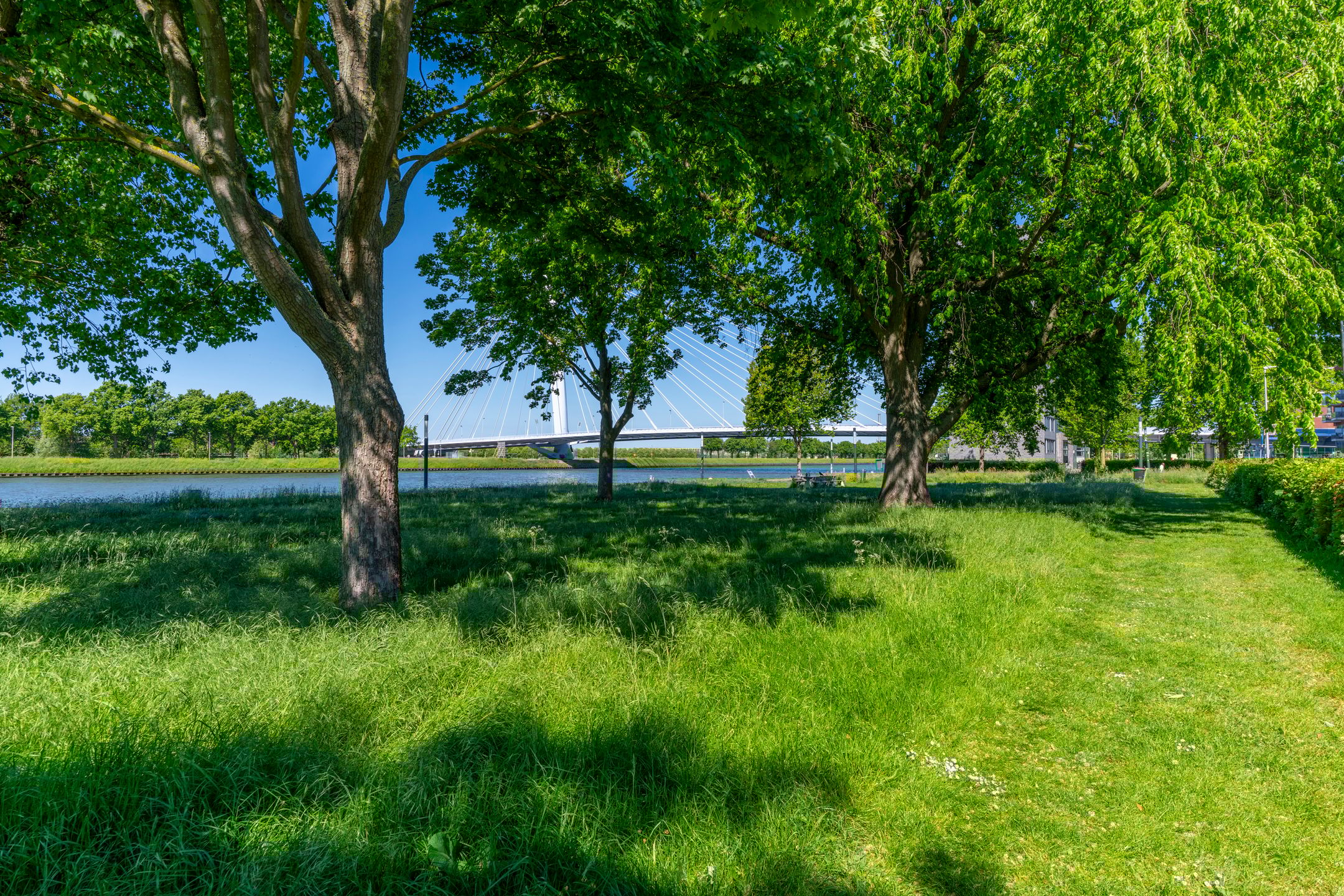 Foto 42 van Rooseveltlaan 582