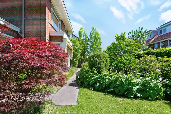 Foto 44 van Broodheuvel 25