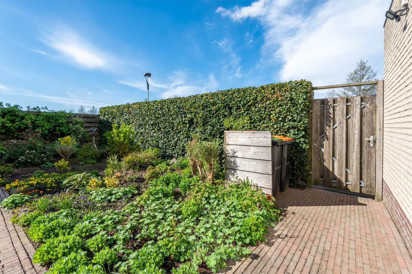 Foto 50 van Beiersgulden 1