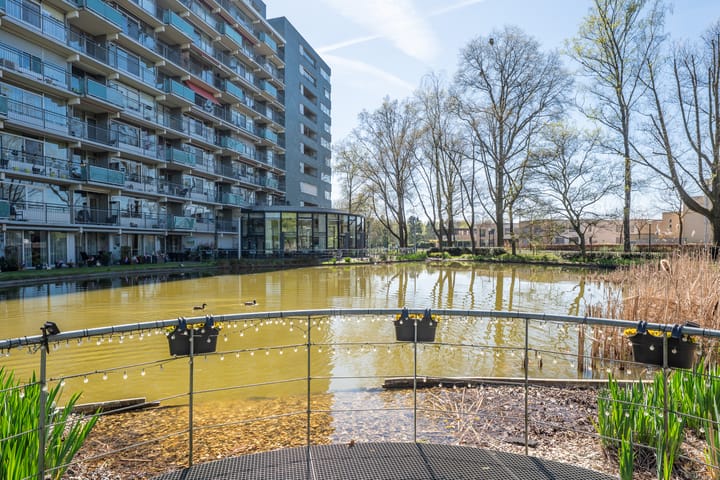 Foto 6 van Herodotusplein 211