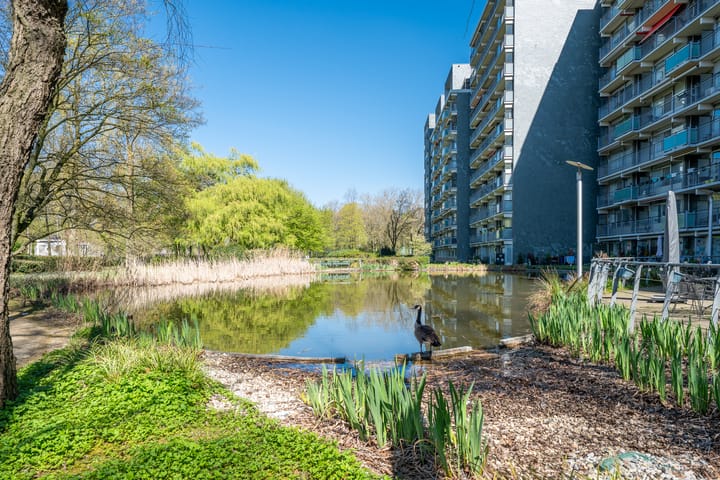 Foto 7 van Herodotusplein 211