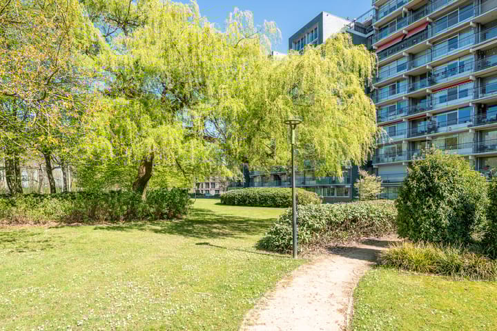 Foto 8 van Herodotusplein 211