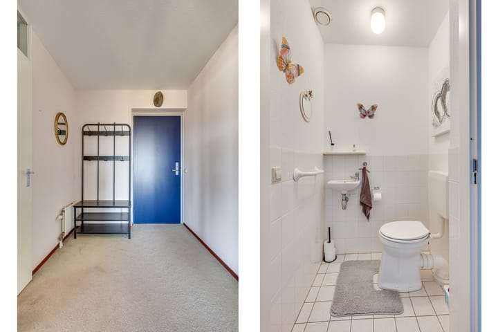 Foto 30 van Herodotusplein 211