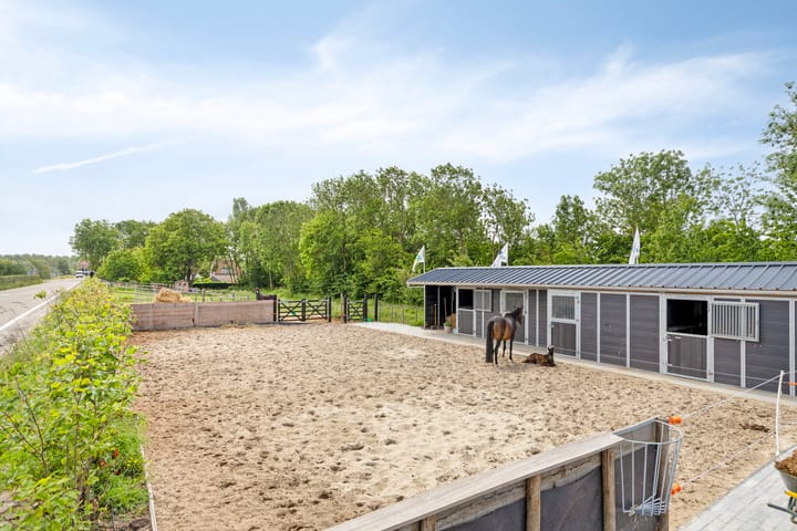 Foto 5 van Schapengorsedijk 23