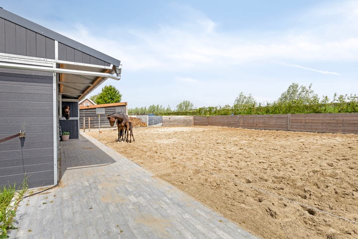 Foto 48 van Schapengorsedijk 23