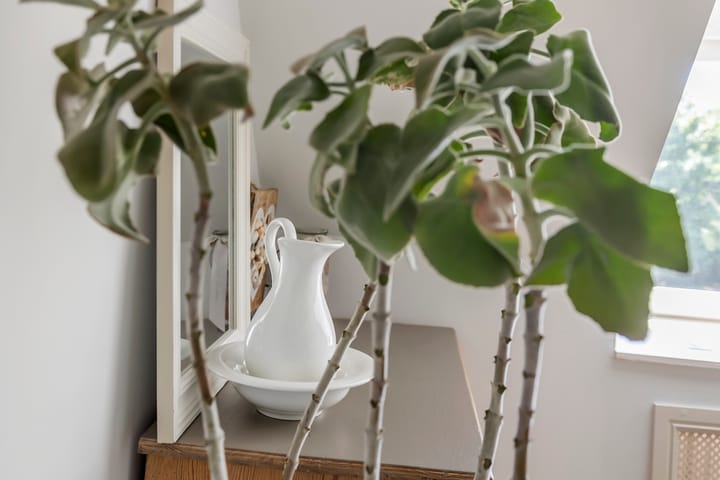 Photo 41 of Kerkeinde 16