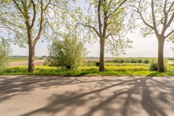 Foto 42 van Westdijk 58