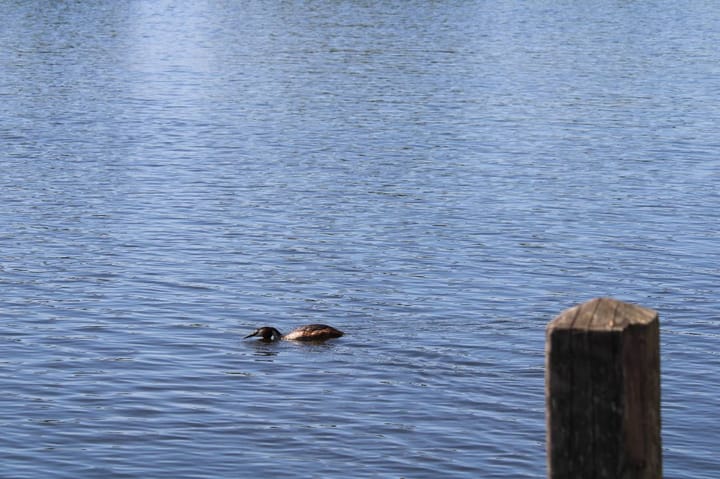 Photo 43 of Huigsloterdijk 178