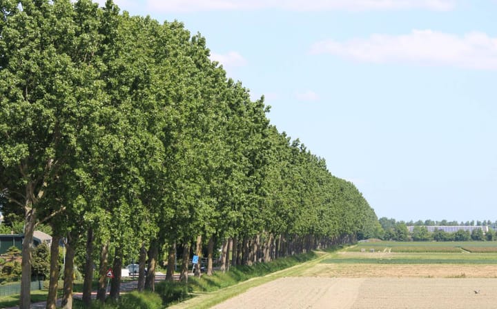 Photo 44 of Huigsloterdijk 178