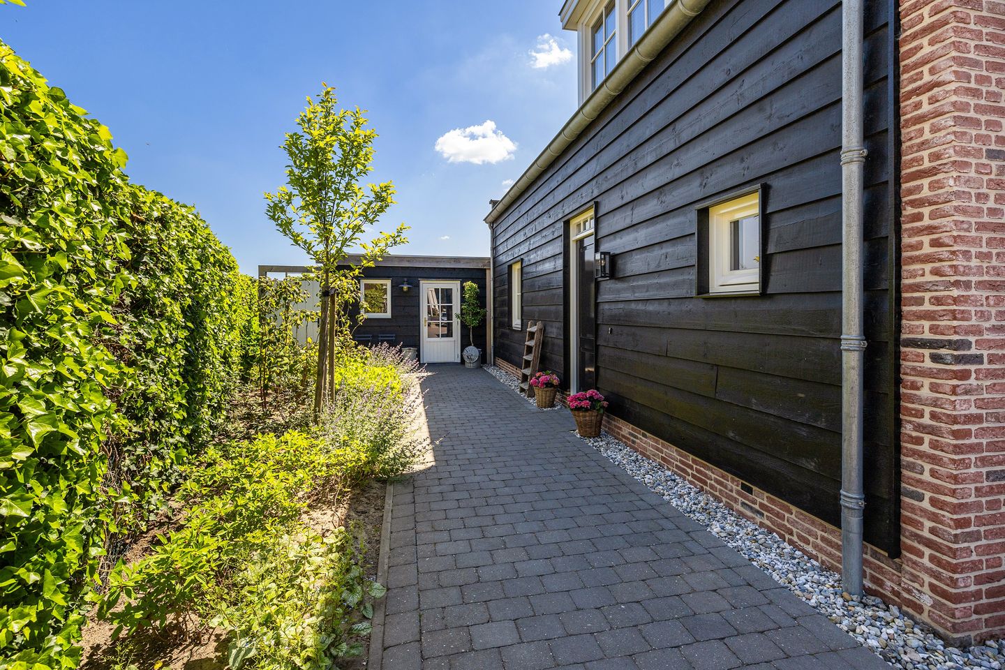 Photo 10 of Essenlaan 96