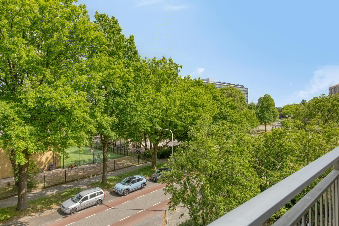 Foto 17 van Monteverdilaan 81