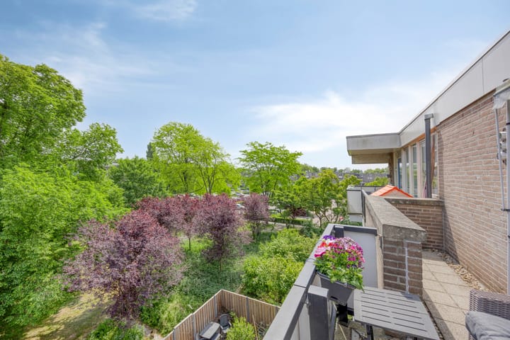 Foto 14 van Wamelstraat 67