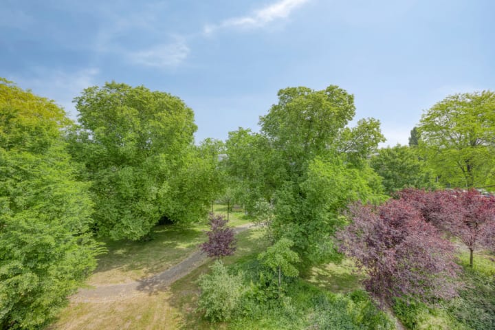 Foto 15 van Wamelstraat 67