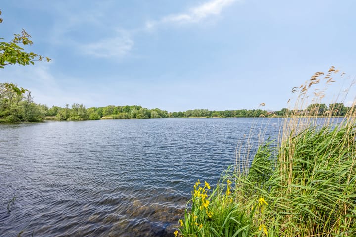 Foto 21 van Wamelstraat 67