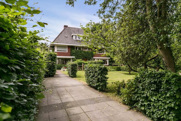 Foto 1 van Westerse Drift 103