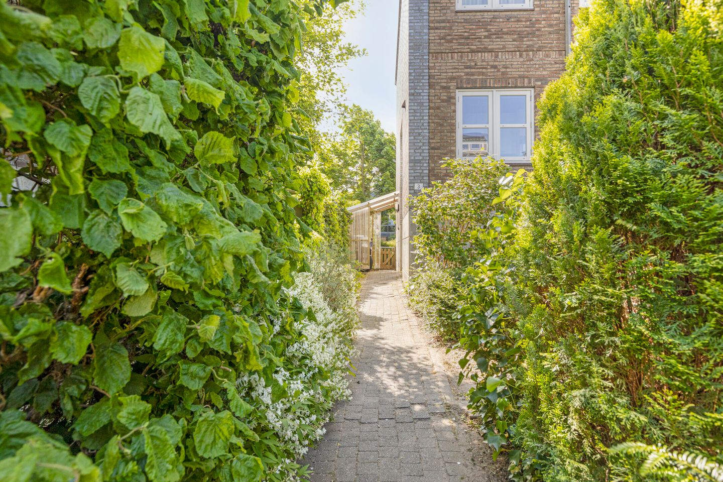 Foto 5 van Bonairepier 3