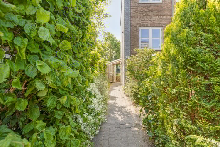 Foto 5 van Bonairepier 3