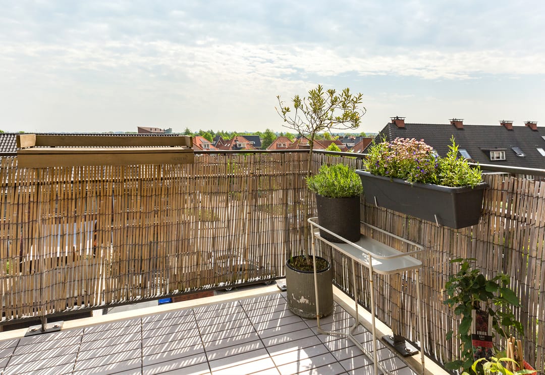 Foto 17 van Christiaan van der Takstraat 179