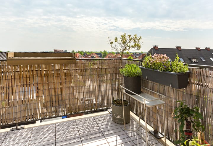 Foto 17 van Christiaan van der Takstraat 179