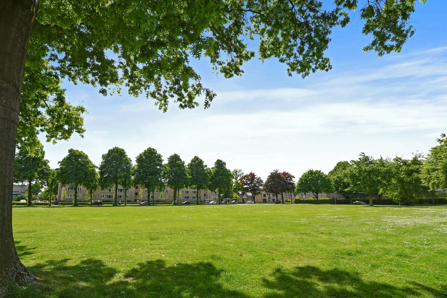 Photo 25 of Overmazestraat 19