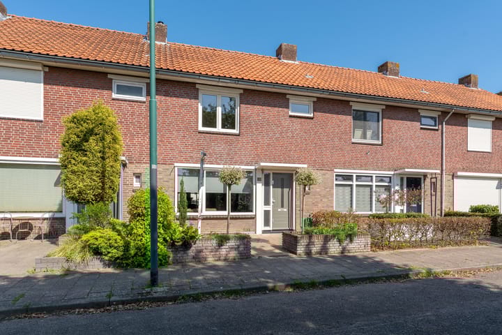 undefined main image