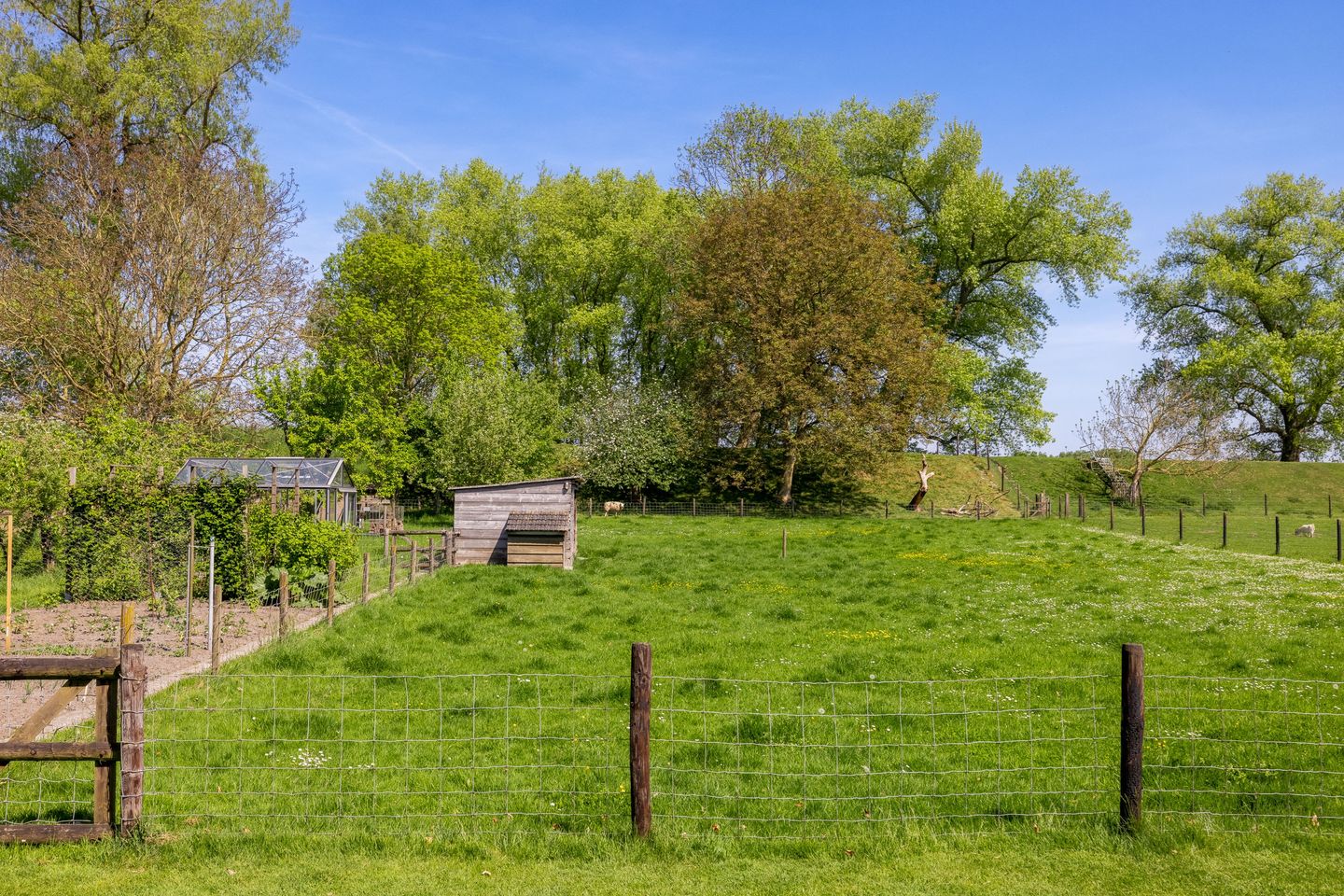 Foto 65 van Oude Schoolstraat 8