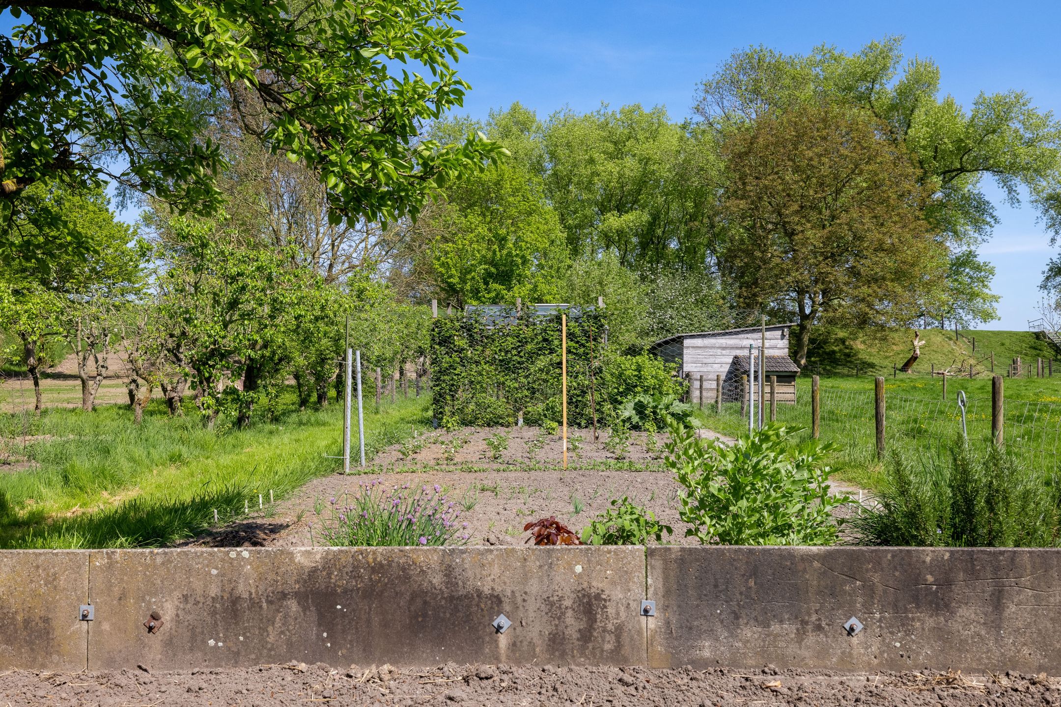 Foto 66 van Oude Schoolstraat 8