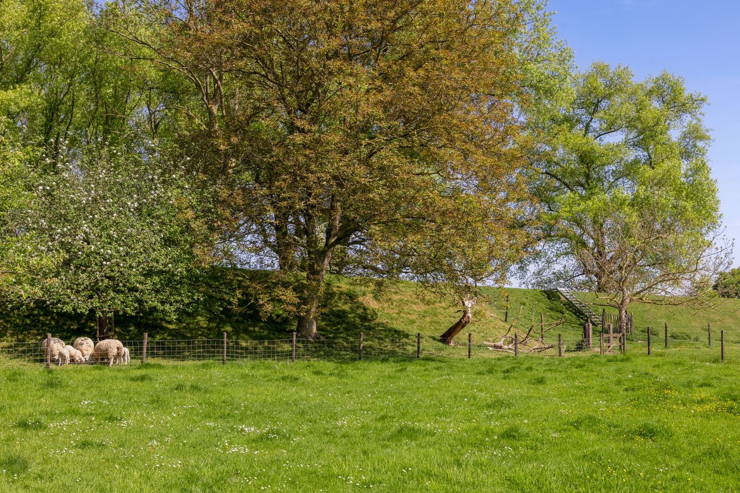 Foto 79 van Oude Schoolstraat 8