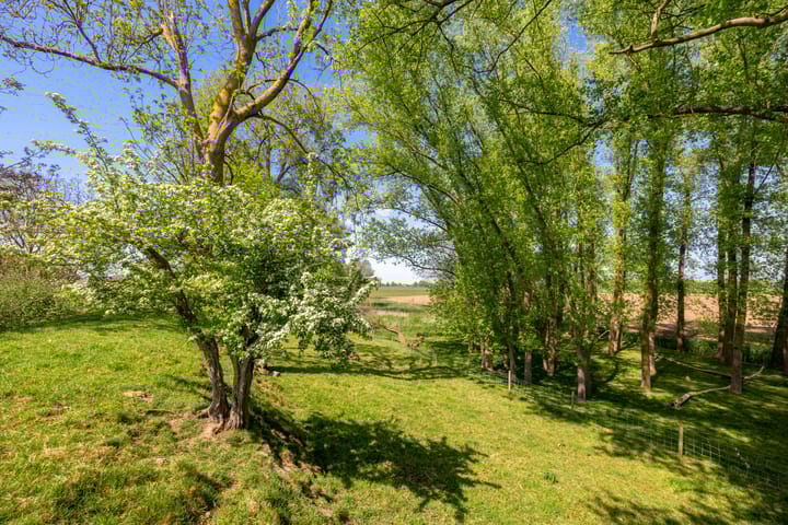 Foto 80 van Oude Schoolstraat 8