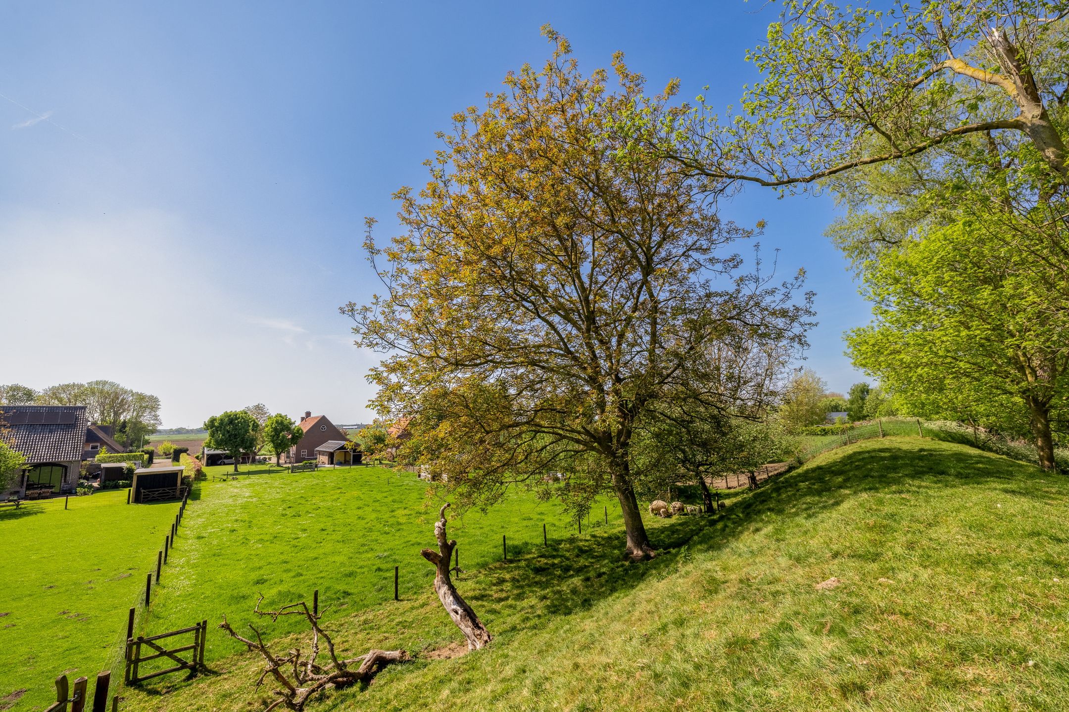 Foto 81 van Oude Schoolstraat 8