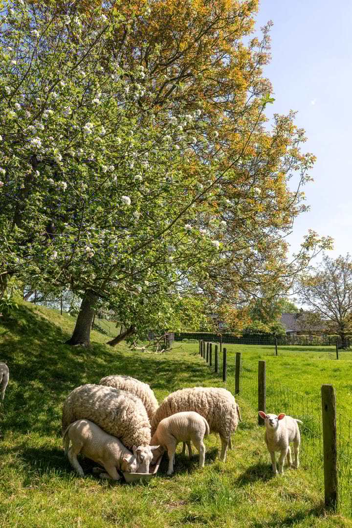 Foto 83 van Oude Schoolstraat 8